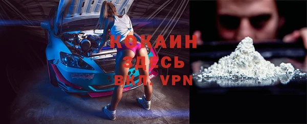 дживик Гусь-Хрустальный