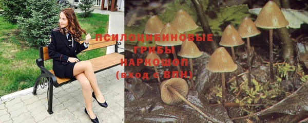 бутират Гусев