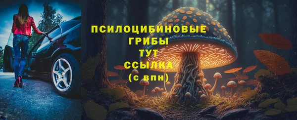 мдма Гусиноозёрск