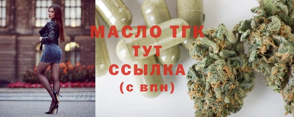 дживик Гусь-Хрустальный