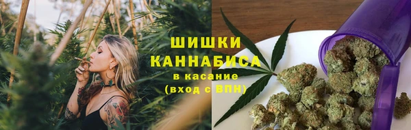 дживик Гусь-Хрустальный