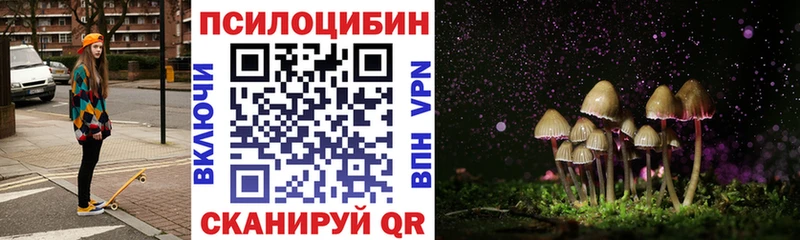 Псилоцибиновые грибы Psilocybe  ОМГ ОМГ онион  Сальск 