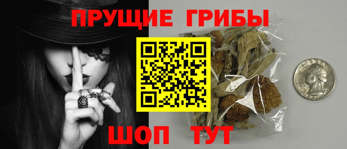 Галлюциногенные грибы прущие грибы  Вход с VPN  Сальск 